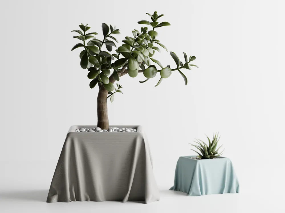 Dekorux - Kumaş Dokulu Saksı Koleksiyonu 🌿🖤