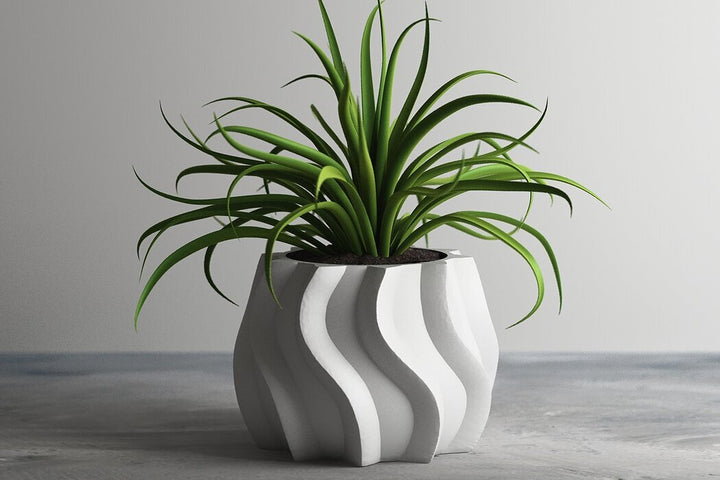 "Dalgalı Hatlara Sahip Modern Saksı" 🌿✨