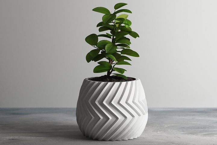 Modern ve Şık  Desenli Saksı!🏡✨