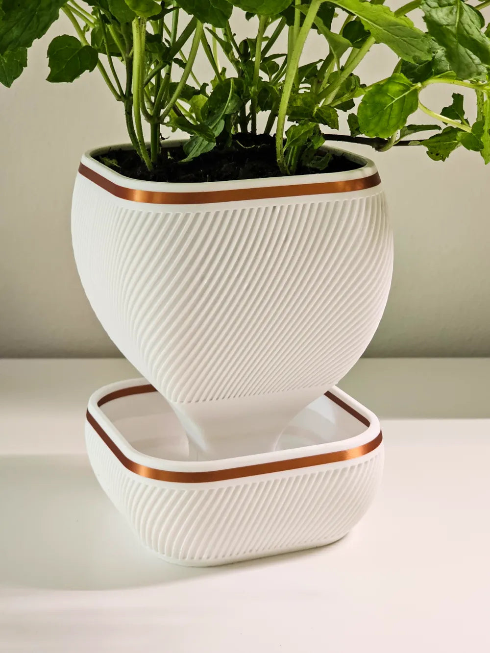 Dekorux - Elevate Planter