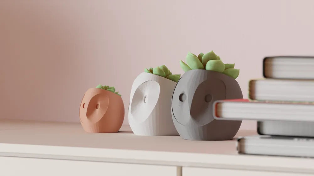 Dekorux - Baykuş Sukulent Saksı Seti 🦉🌿