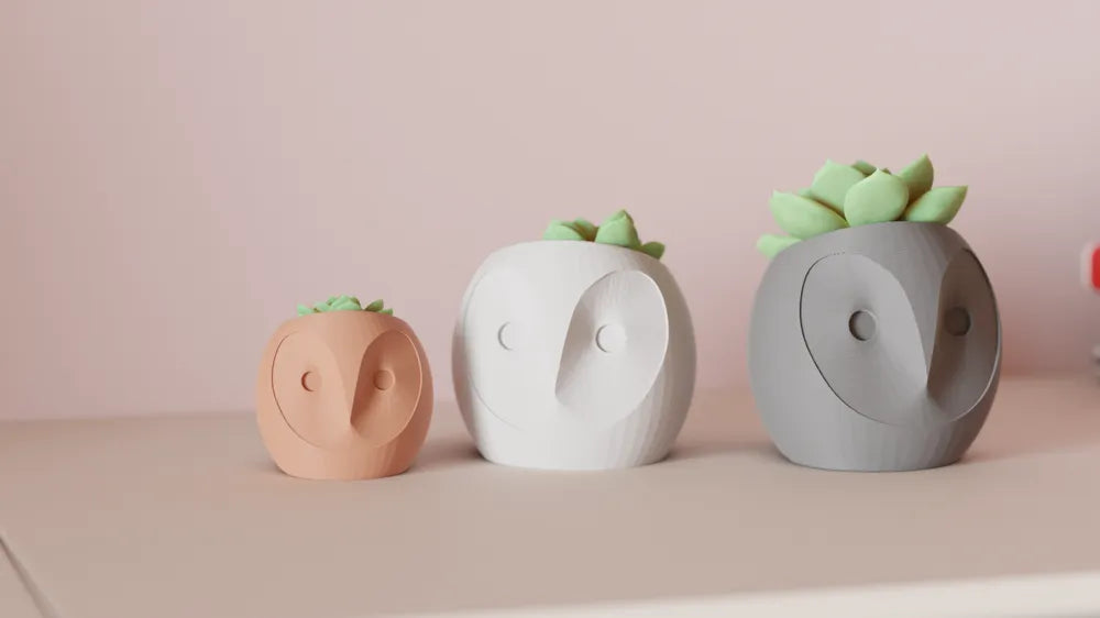 Dekorux - Baykuş Sukulent Saksı Seti 🦉🌿