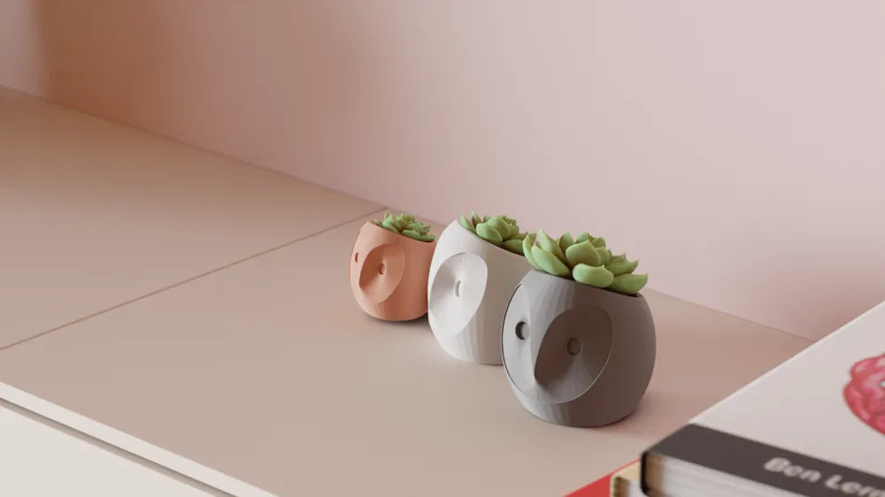 Dekorux - Baykuş Sukulent Saksı Seti 🦉🌿