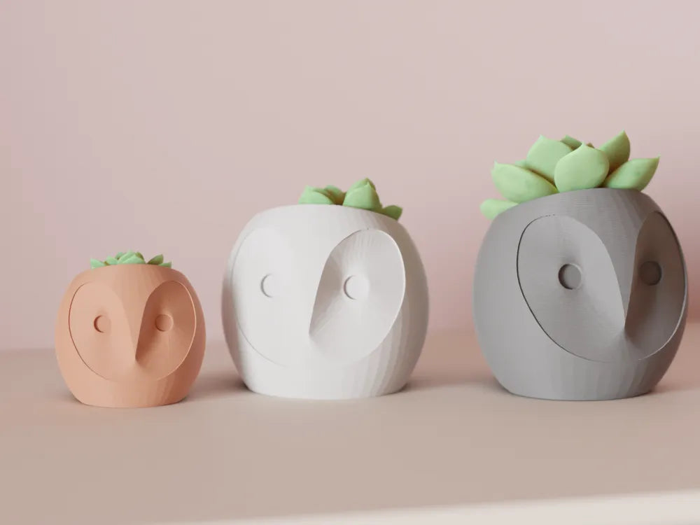 Dekorux - Baykuş Sukulent Saksı Seti 🦉🌿