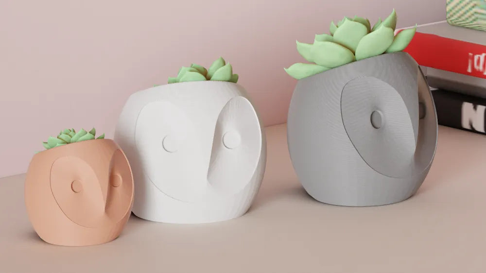 Dekorux - Baykuş Sukulent Saksı Seti 🦉🌿