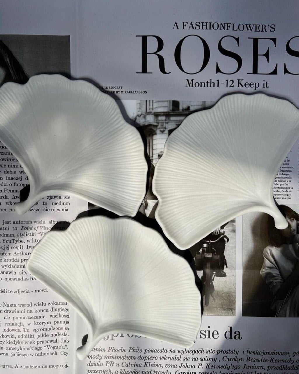 Dekorux - Ginkgo Yaprak Tabak