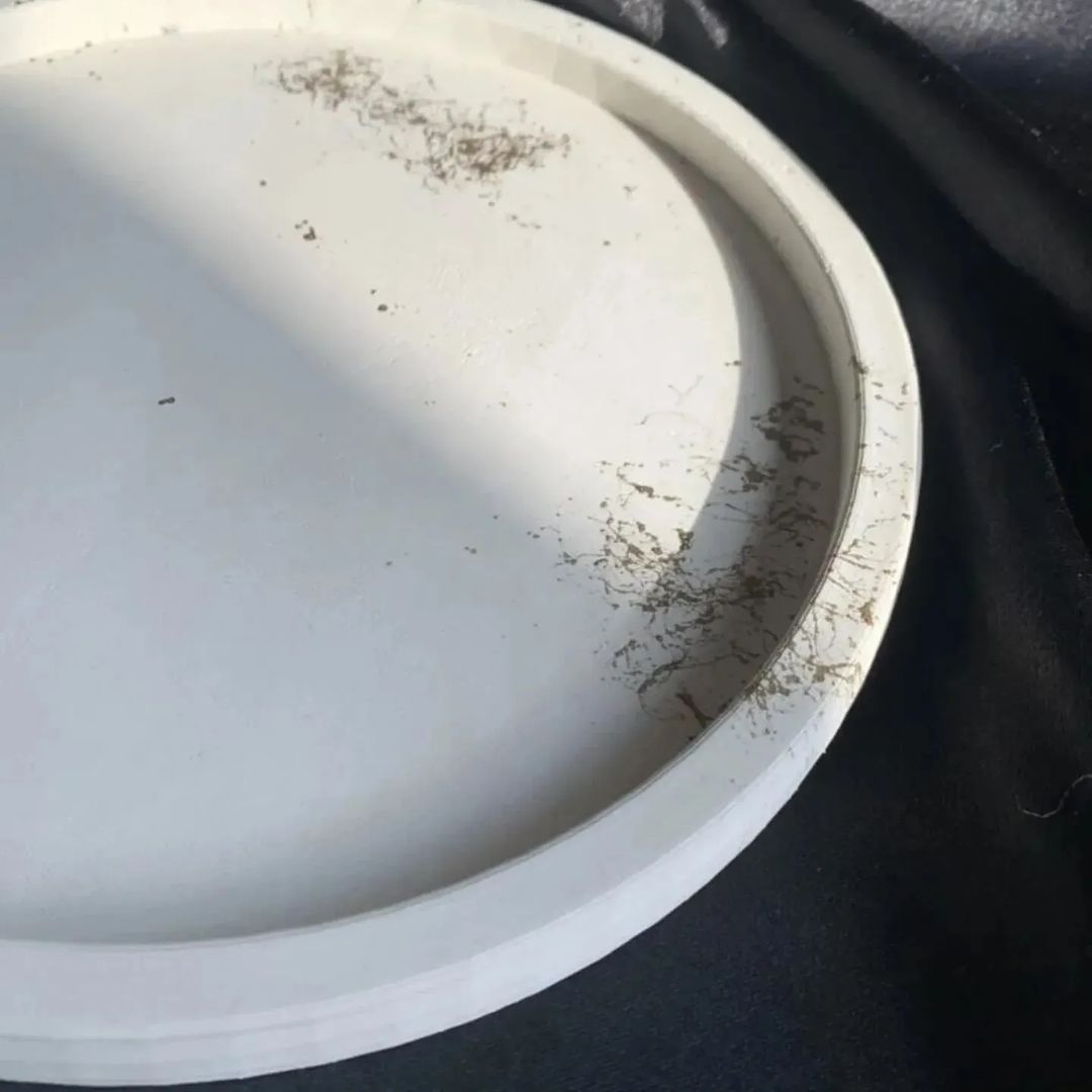 Dekorux - Minimalist Yuvarlak Tepsi