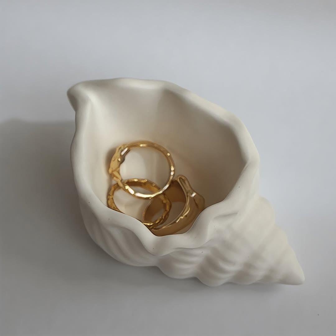 Dekorux - Shell Jewelry Holder