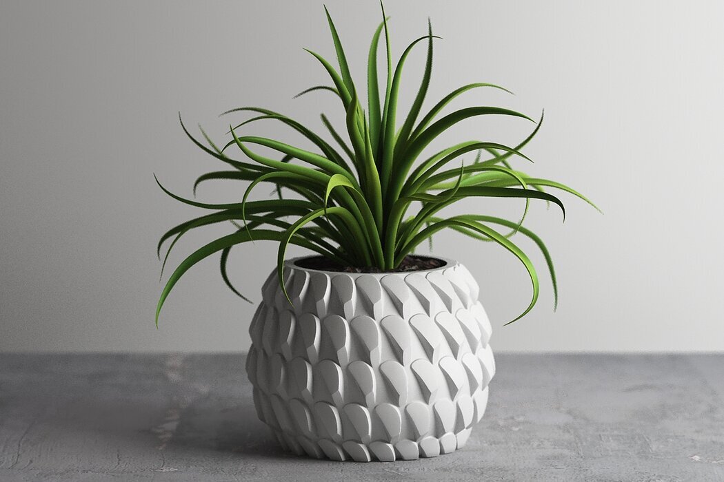 "Modern Pul Tasarımlı Saksı" 🪴✨