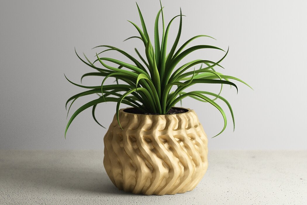 "Gold Spiral Saksı" ✨🌿